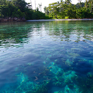 Les eaux limpides de Raja Ampat - Plongée en Indonésie
