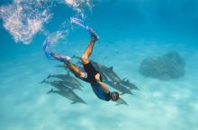 Snorkeling guidé - Nuit à Safaga