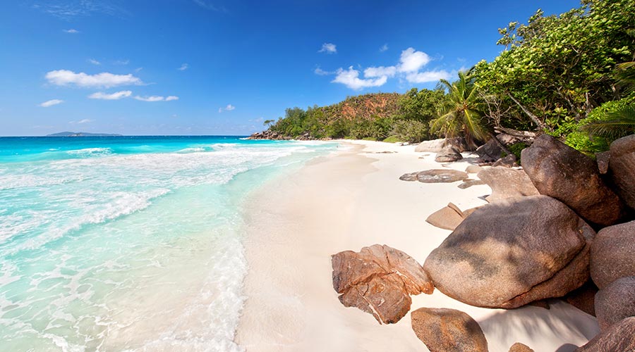 Vacances plongée en famille aux Seychelles