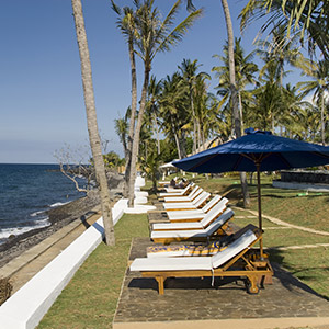 Espaces vers - transat vue mer - Siddhartha Resort - Bali