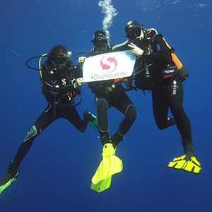 Plongeurs en croisière plongée BDE en Egypte