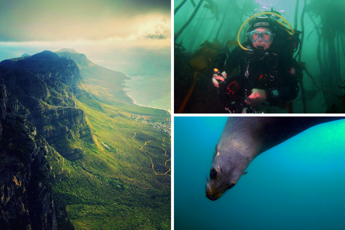 Cap Town - Table Mountain, Otaries et plongeurs
