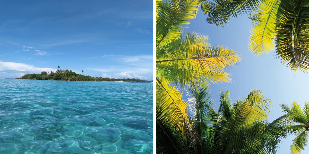 Huahine en Polynésie : île et palmiers