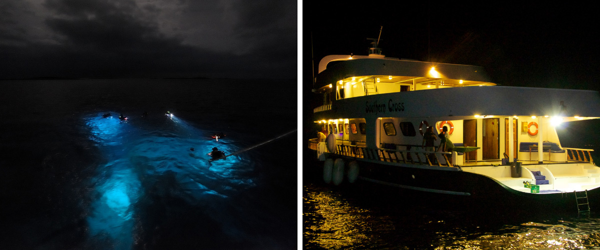 Patchwork photos : groupe de plongeurs avec torches, bateau éclairé de nuit