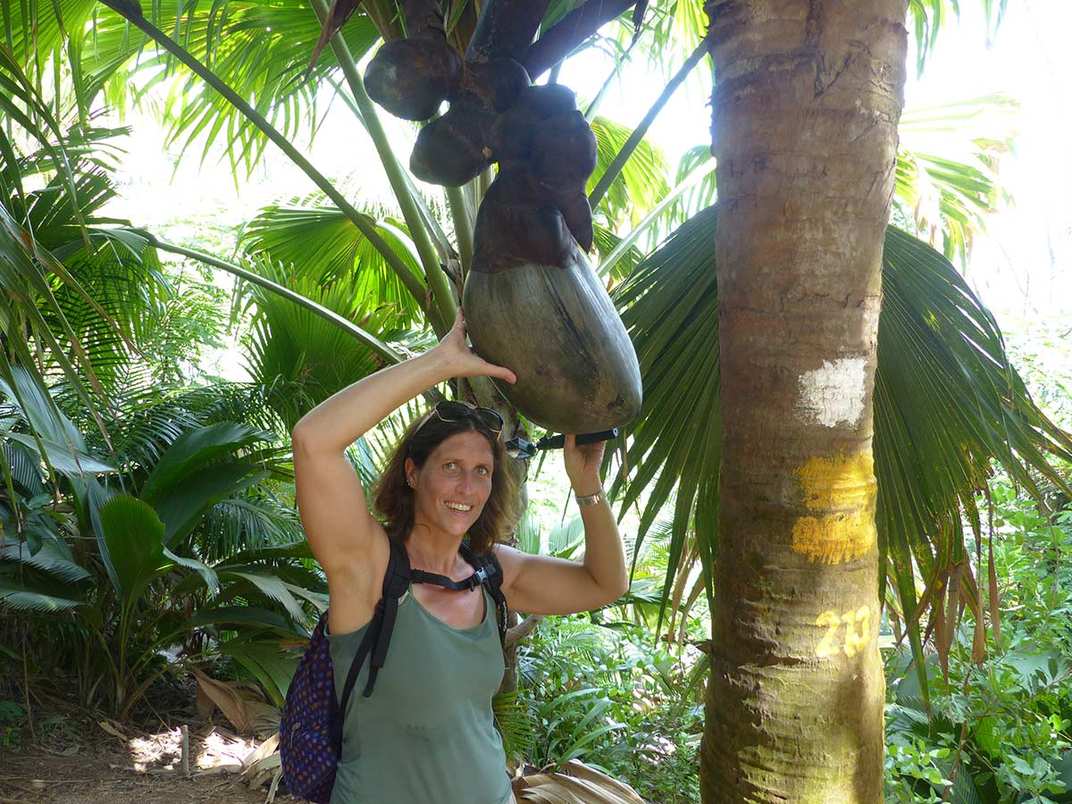 Aurélie, aux Seychelles, sous une Coco Fesse