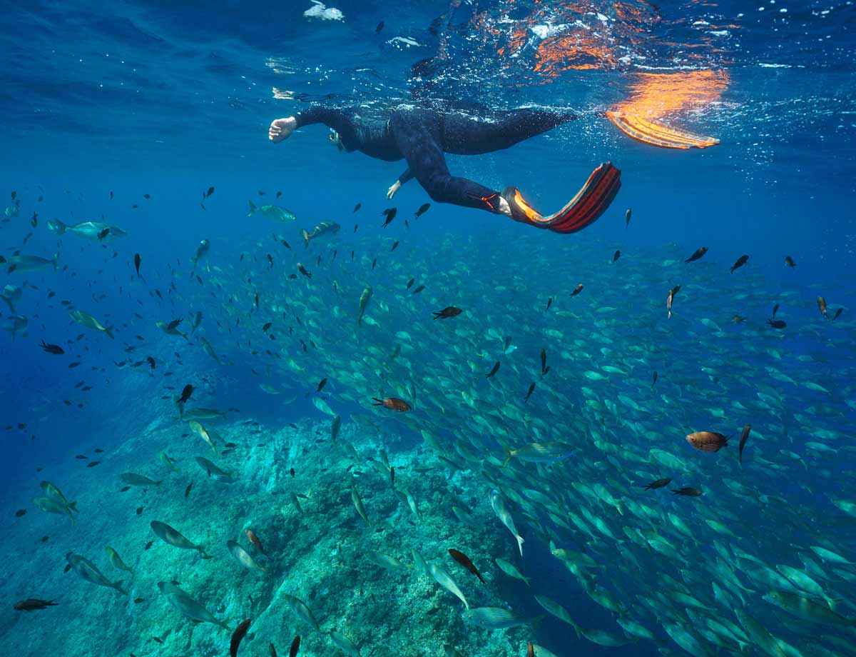 Snorkeling-mediterranee