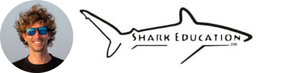 Steven Surina, fondateur de la Shark Education