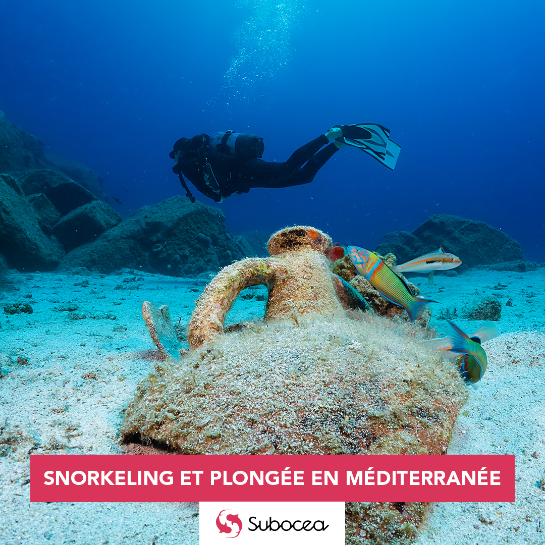 Plongee-et-snorkeling-en-Mediterranee