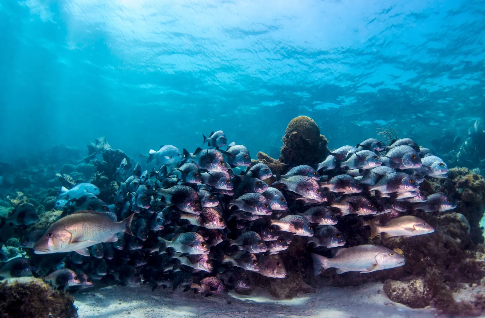 Départ pour Bonaire