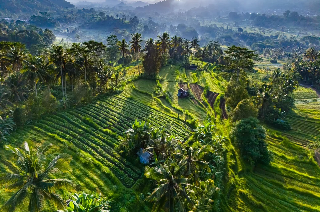 Dernières explorations à Tulamben