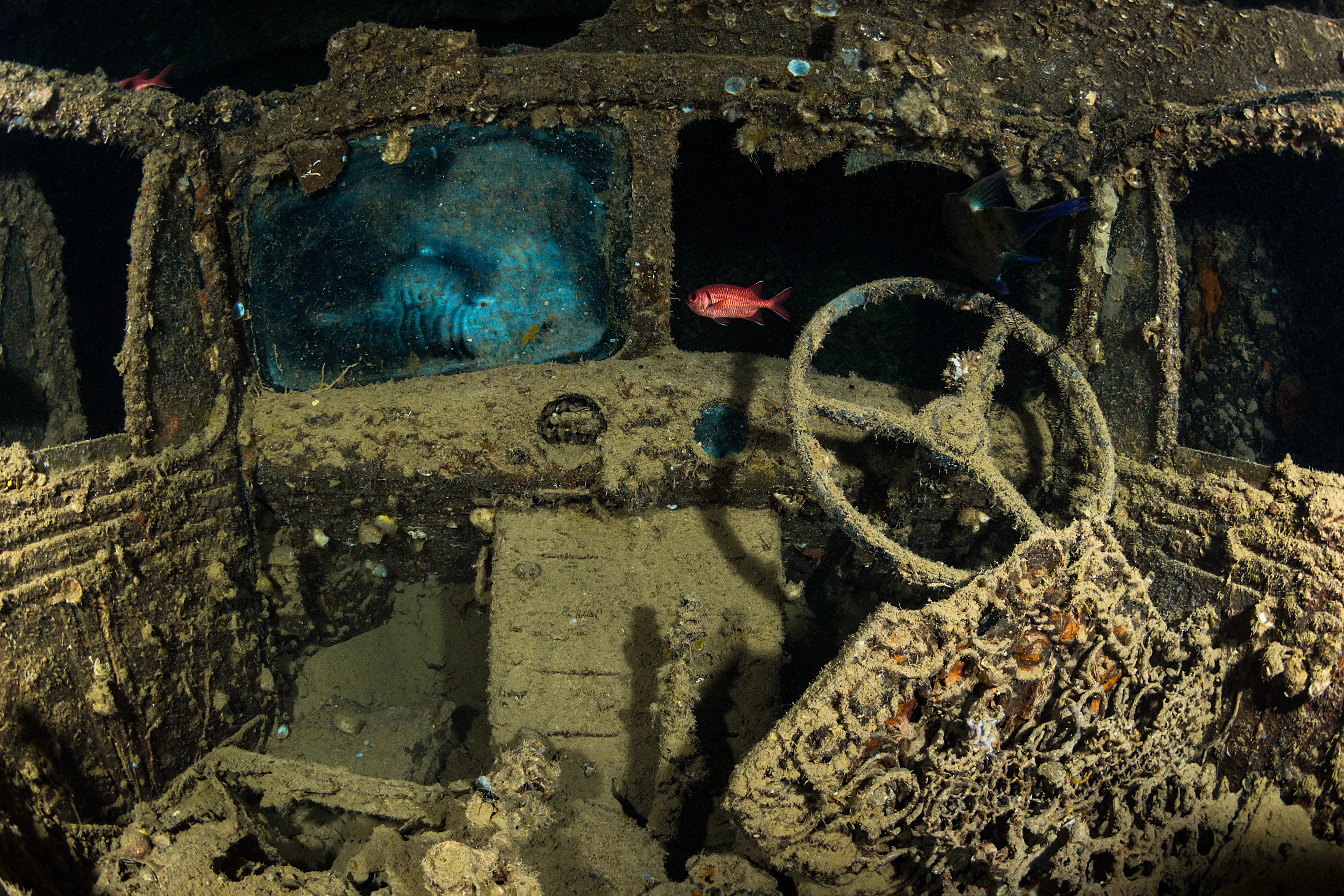 SS Thistlegorm & Shaab Mahmud