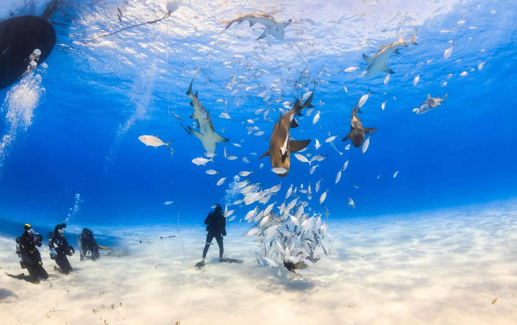 Départ pour les Bahamas !