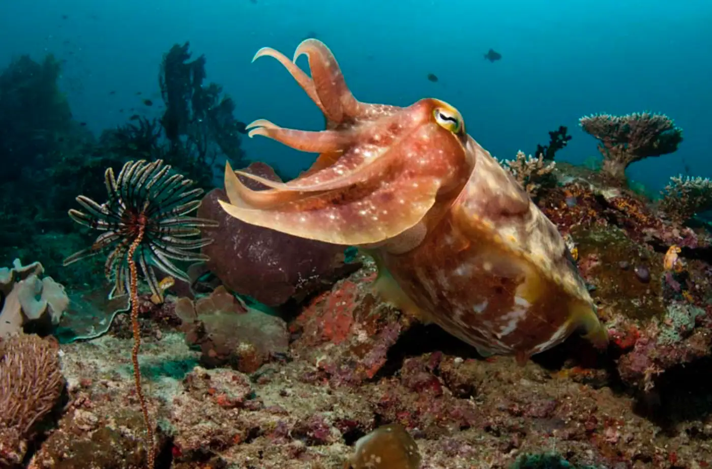 Cette journée sera partagée entre terre et mer