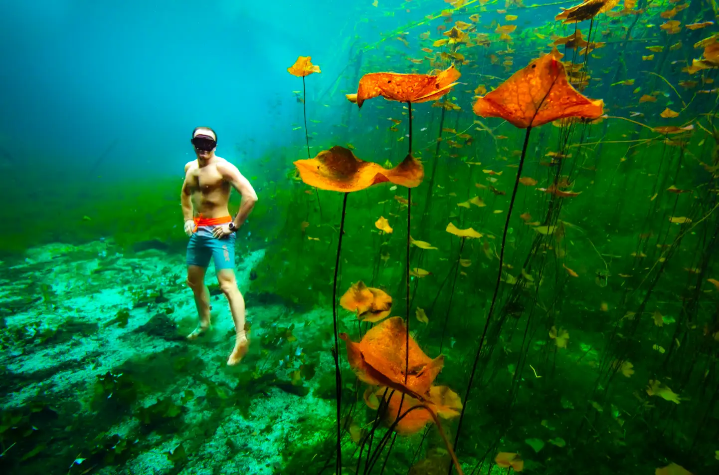 Plongées à Playa Del Carmen