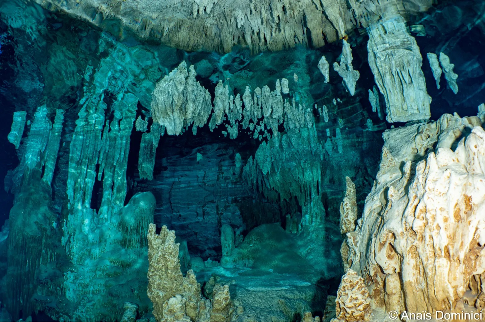 2 plongées en cénote "spécial"