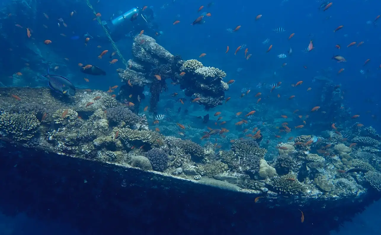 Fin de la croisière