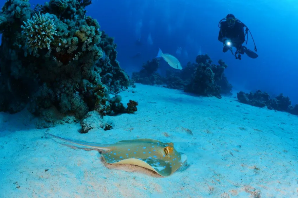 Navigation - 2 Plongées