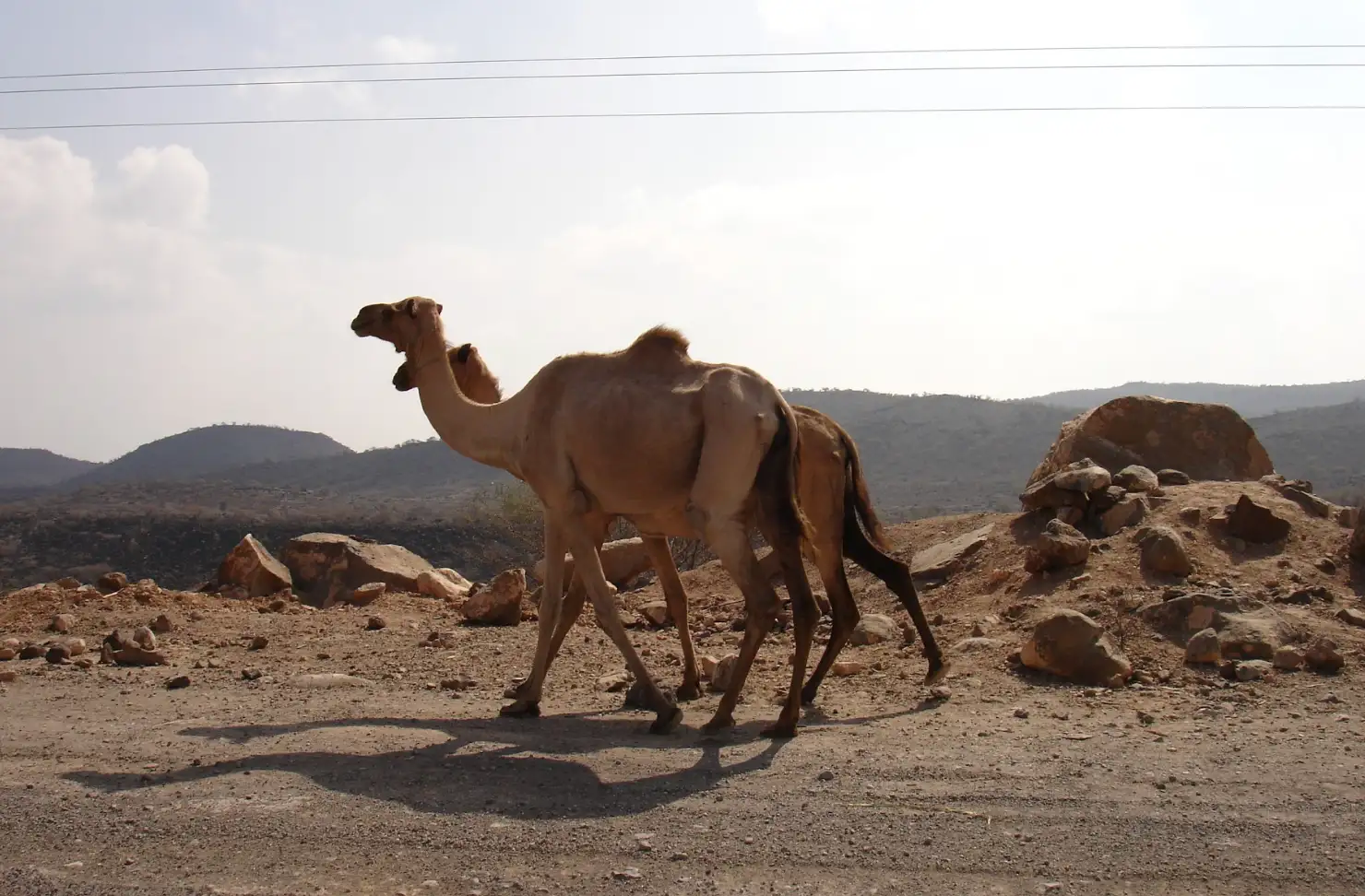 Djibouti