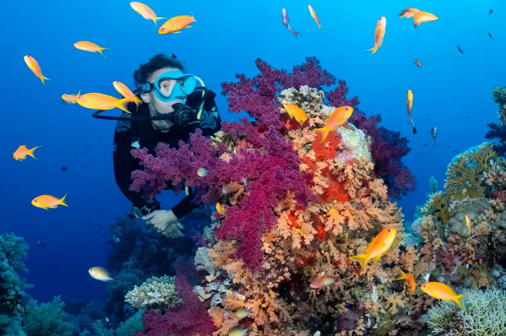 Premières bulles & cap sur Daedalus