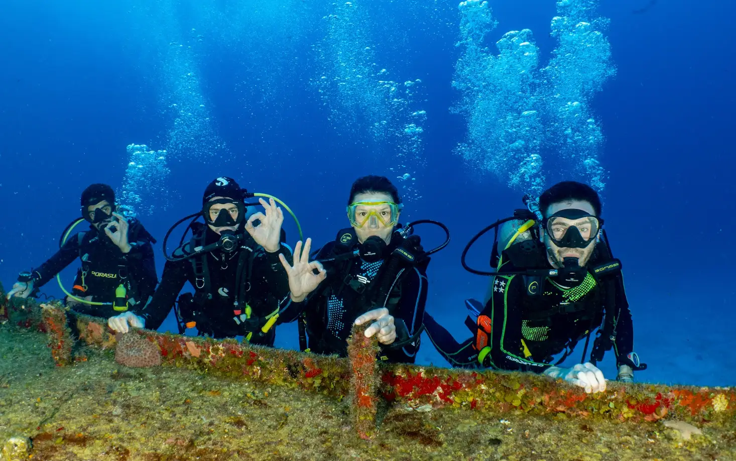 Croisière en pension complète avec 3 ou 4 plongées/jour