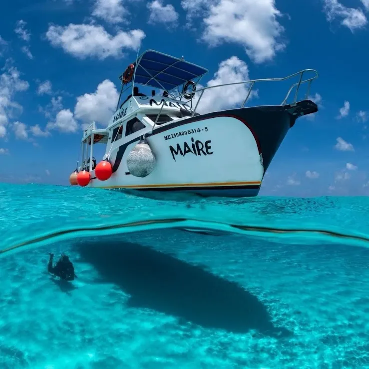 Plongées à Cozumel