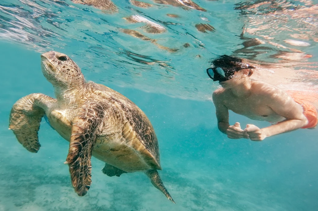 Larguez les amarres !