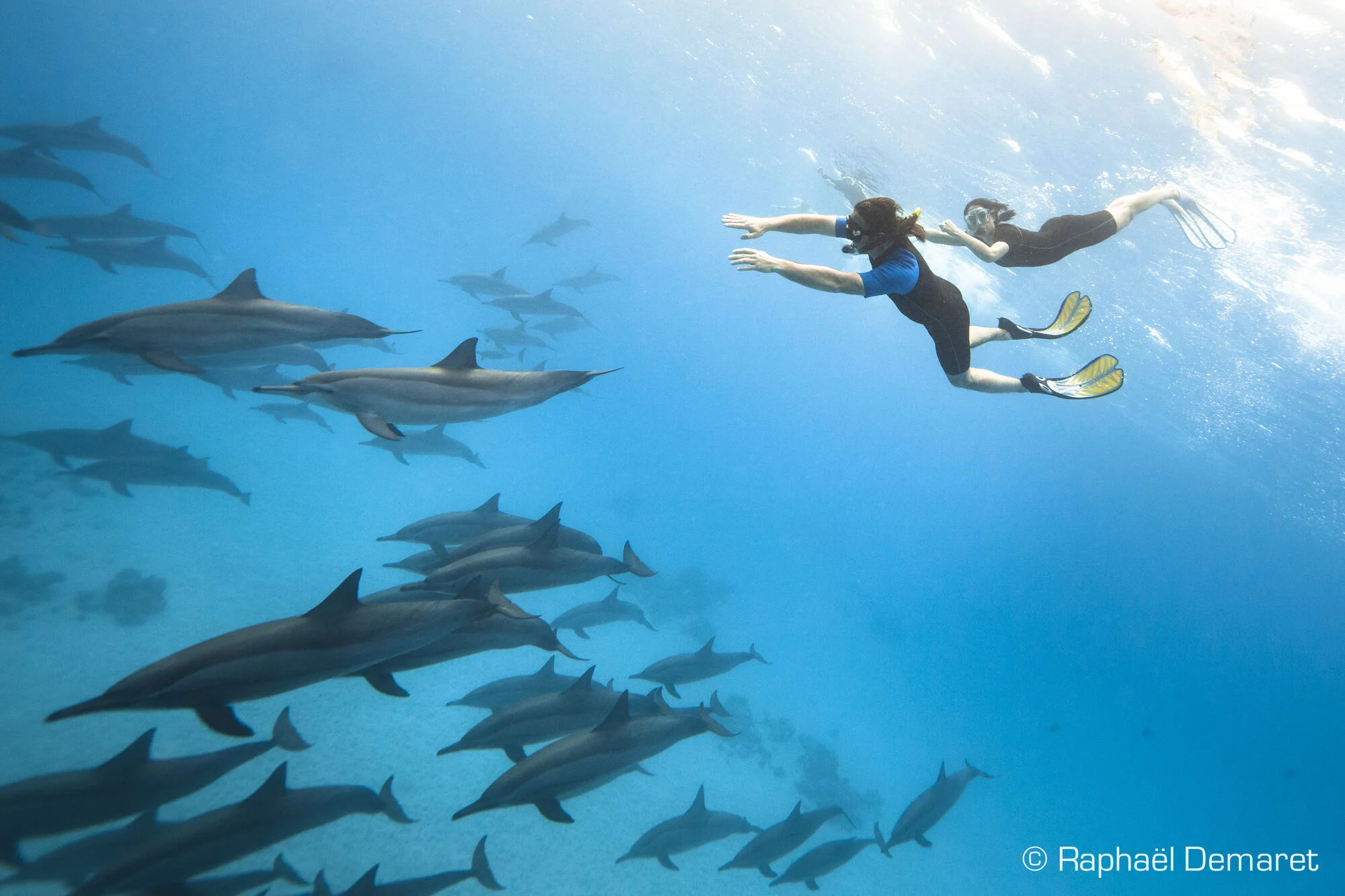 Plongées sur les Fury Shoals – Snorkeling à Sataya