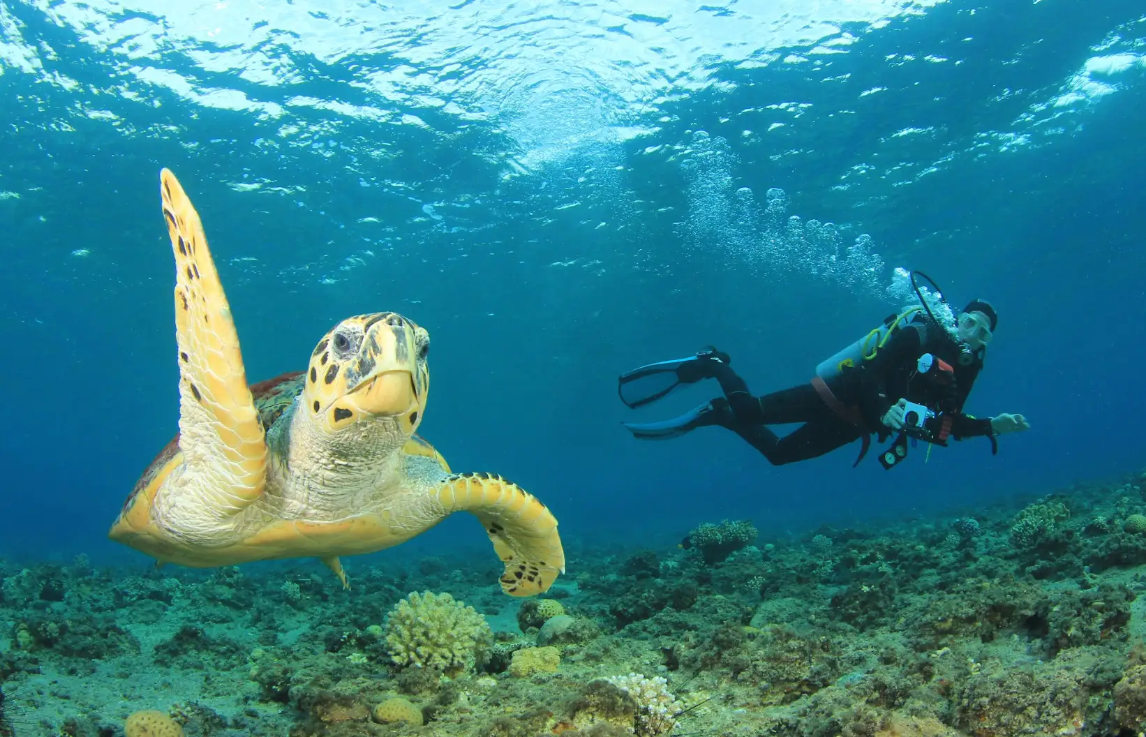 Bonaire