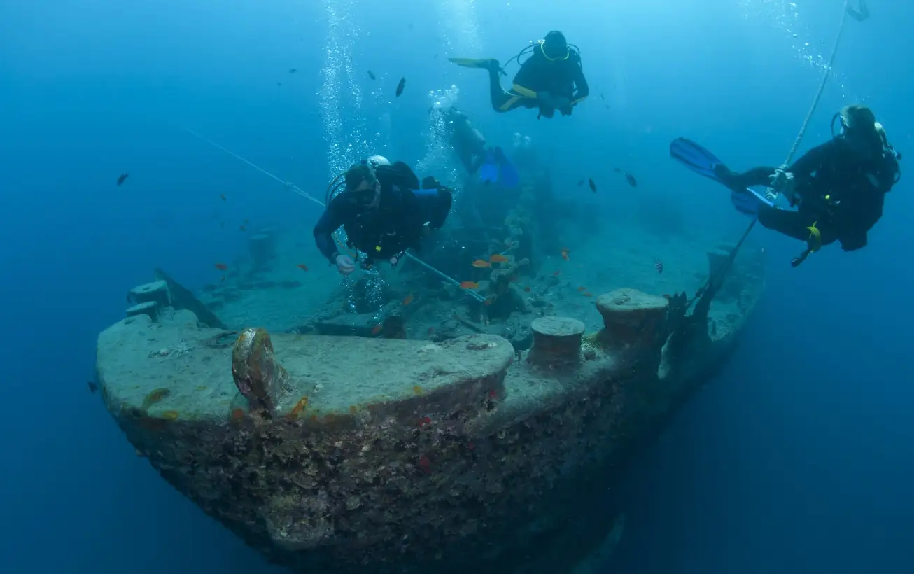 Croisière , plongées