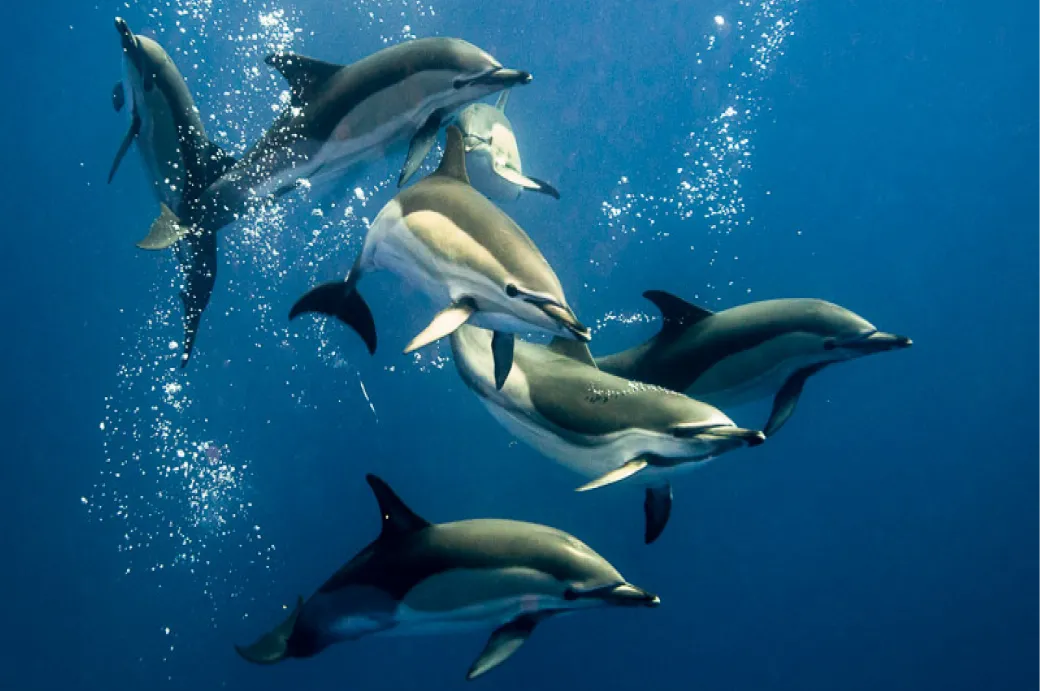 Journée a choix multiple