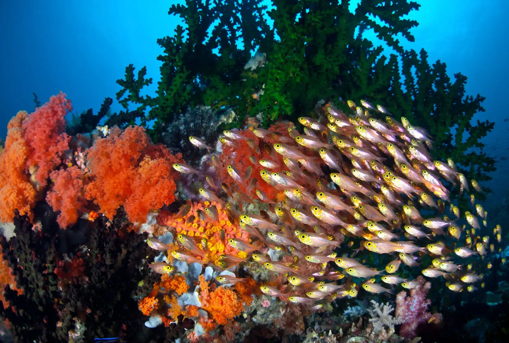 Arrivée à Bali et installation à Sanur