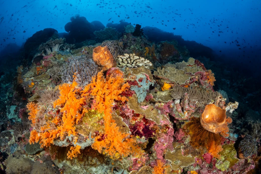 Départ pour la France