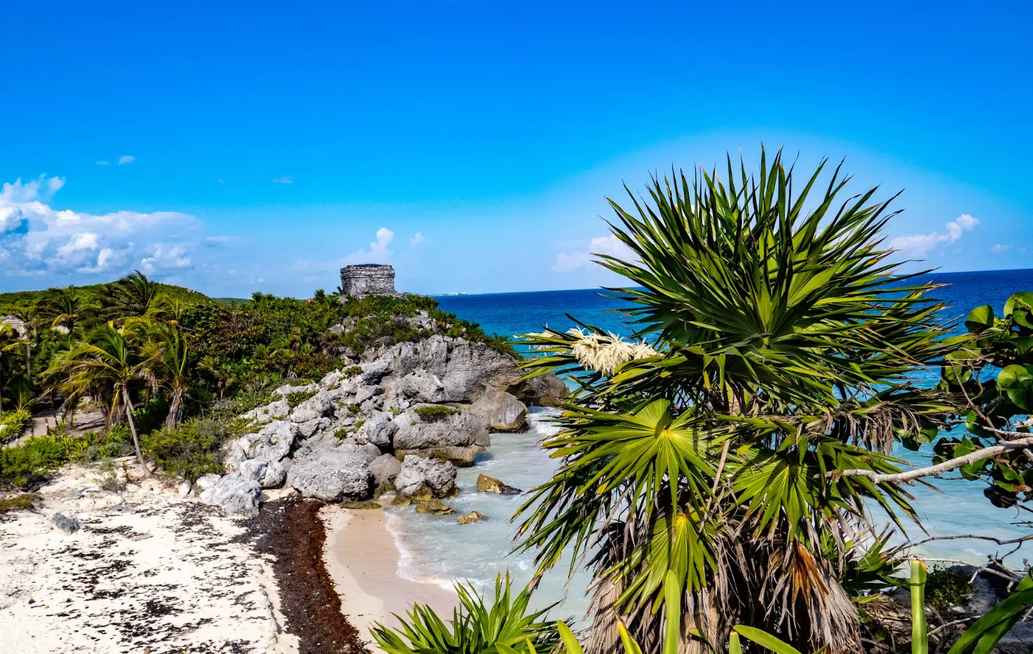 Plongées à Cozumel