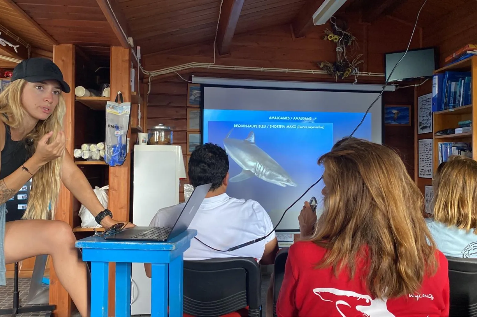 Demi journée en mer