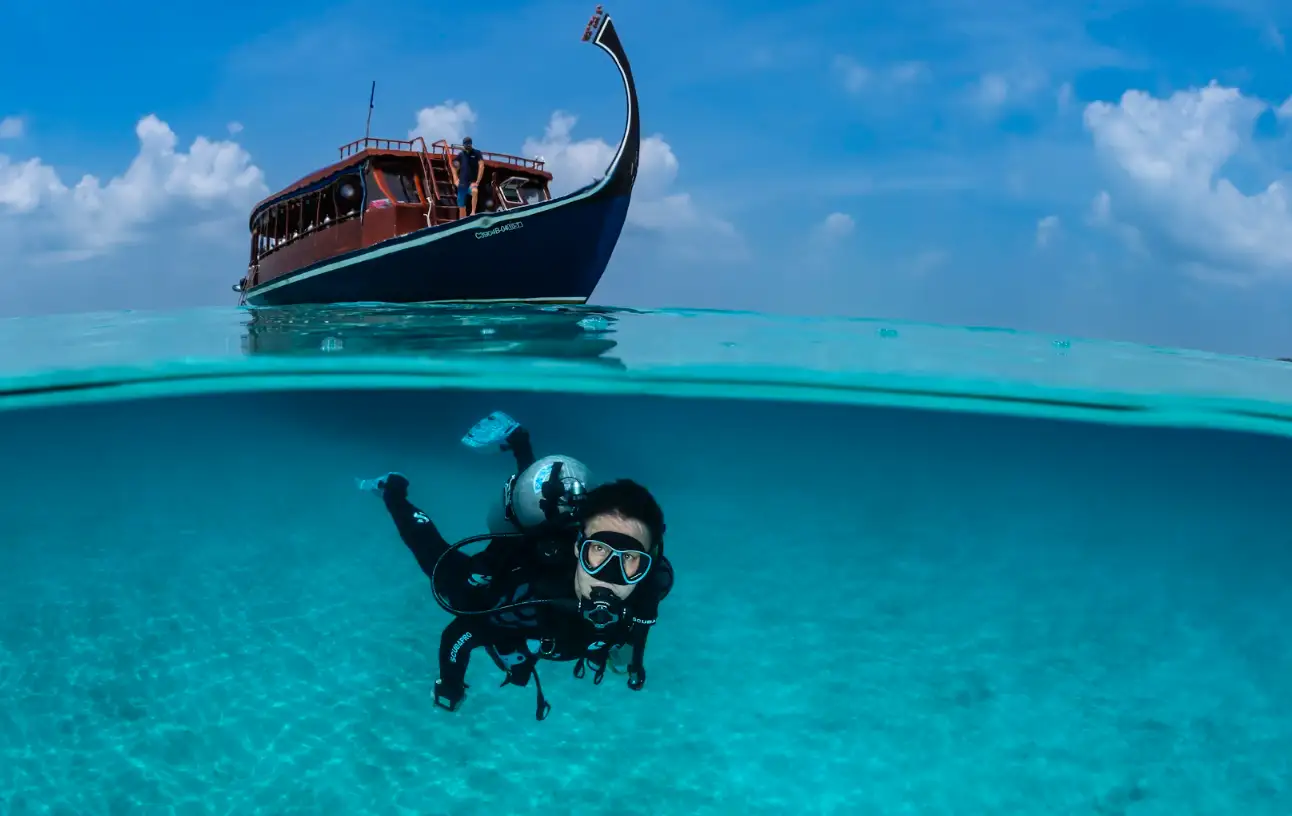 FRin de la croisière