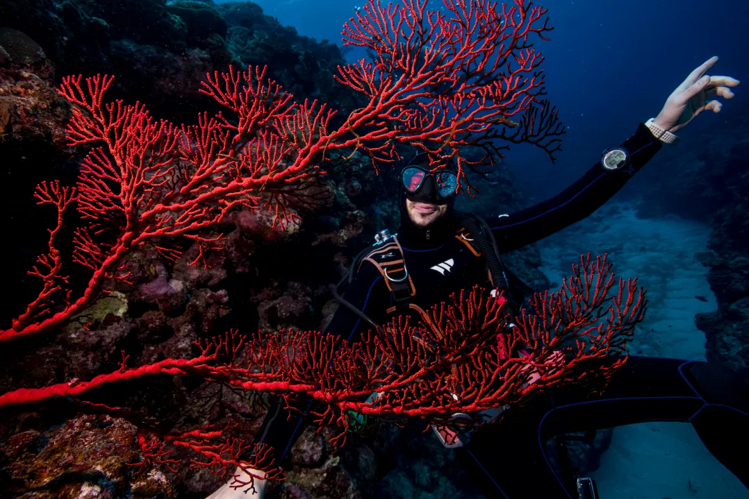 Plongée à Yonaguni