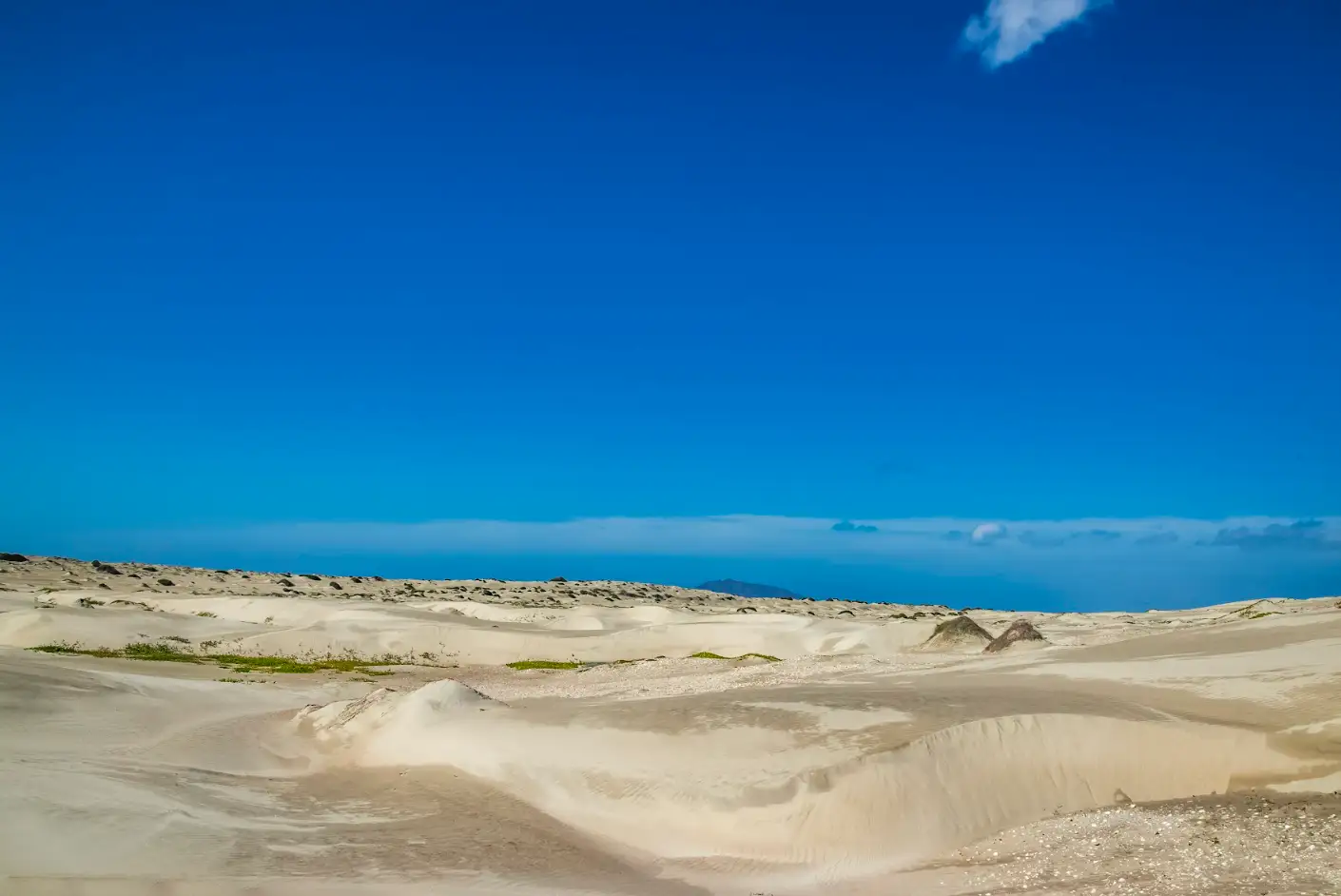 Plongées à Cozumel