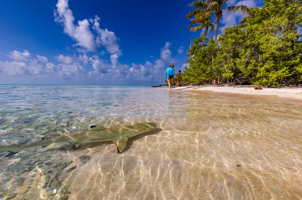 Vol vers Rangiroa et première immersion polynésienne