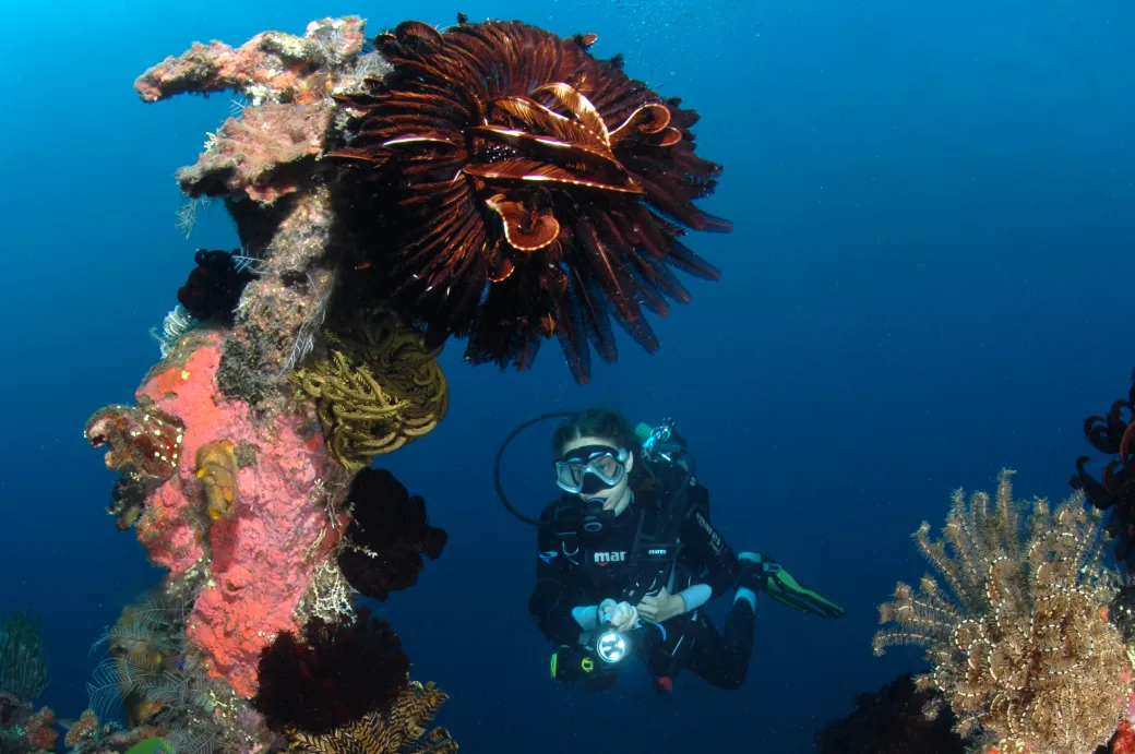 Tulamben, l’épave du Liberty & route vers le Mont Batur