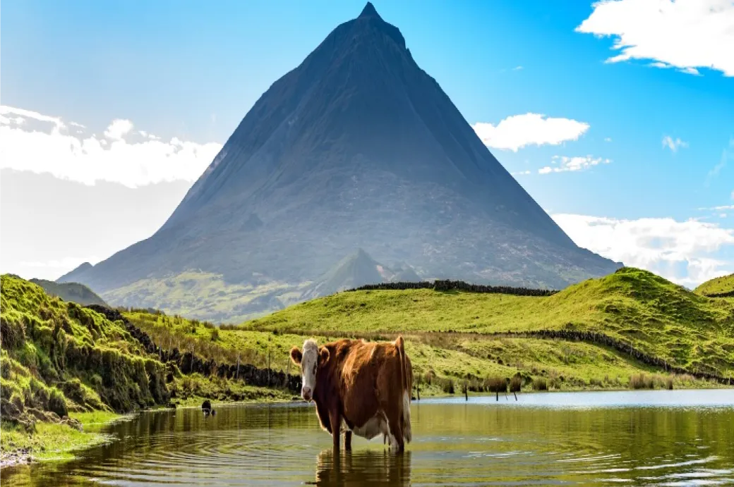 Plongée de réadaptation