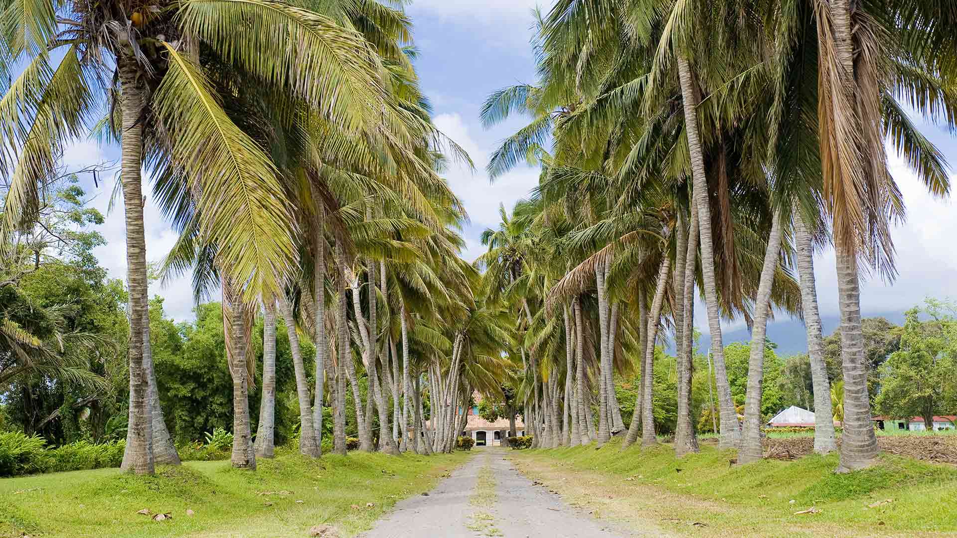 Martinique