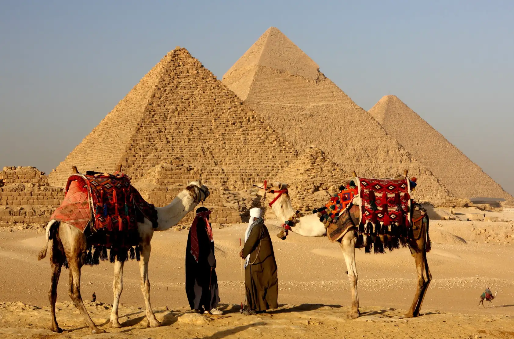 Arrivée en Egypte - transfert à l'hôtel Lotus Bay à Safaga