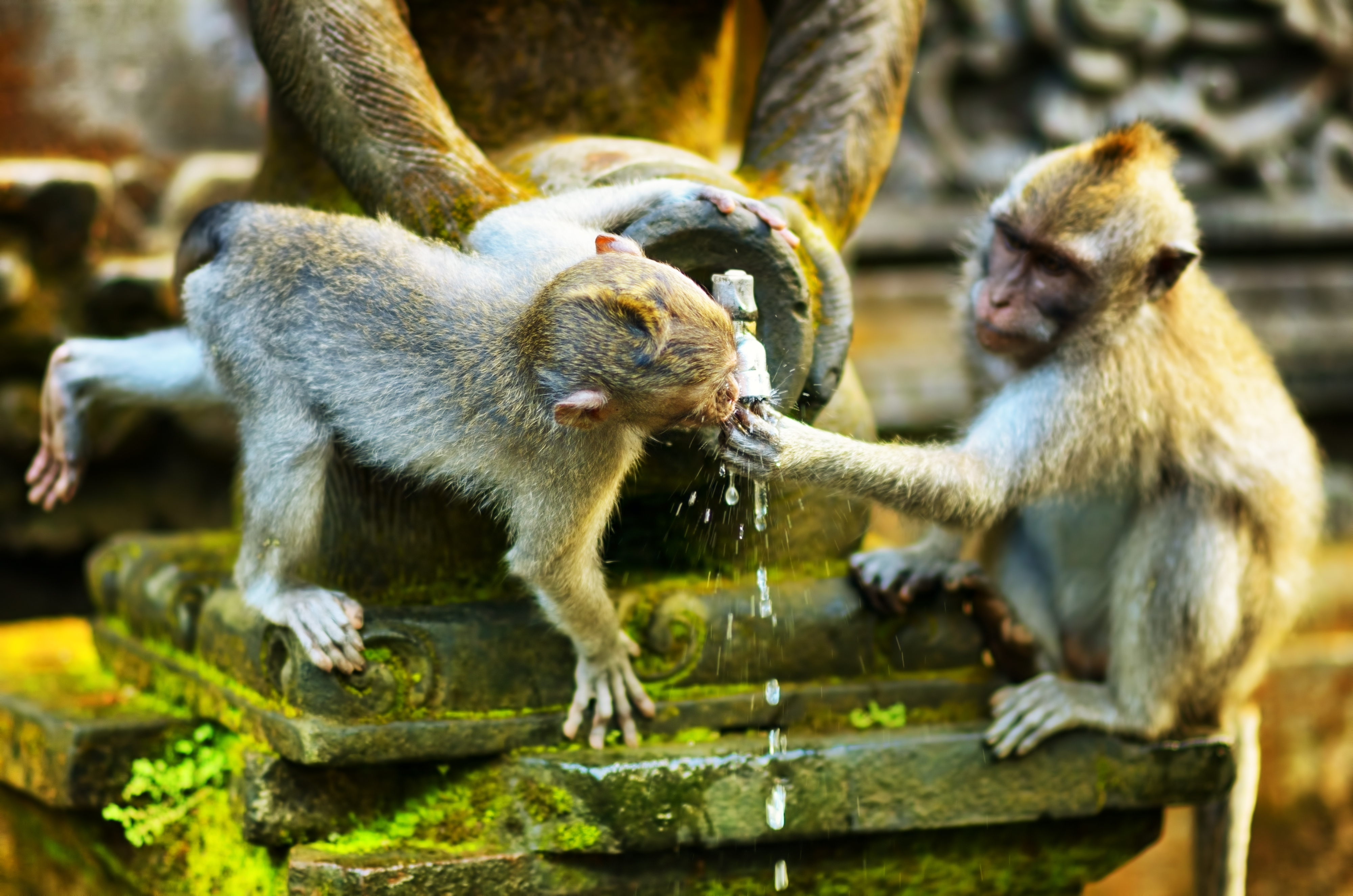 Ubud, coeur culturel de Bali