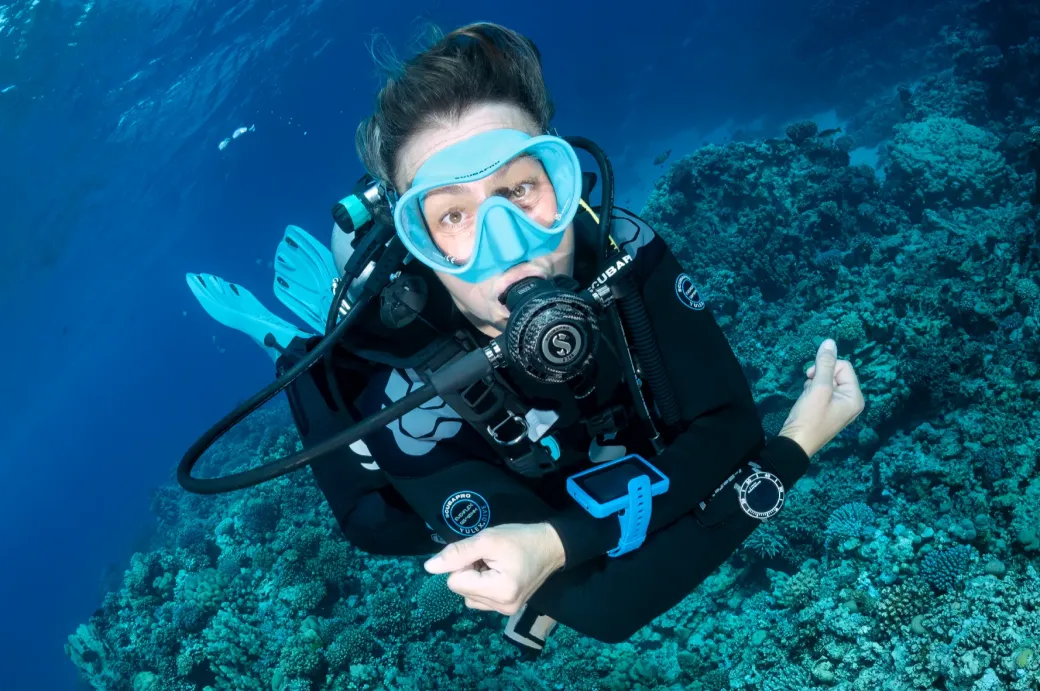 Détroit de Tiran : Thomas, Jackson, Gordon