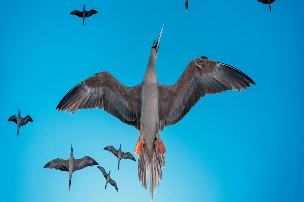 Départ pour le voyage d'une vie !