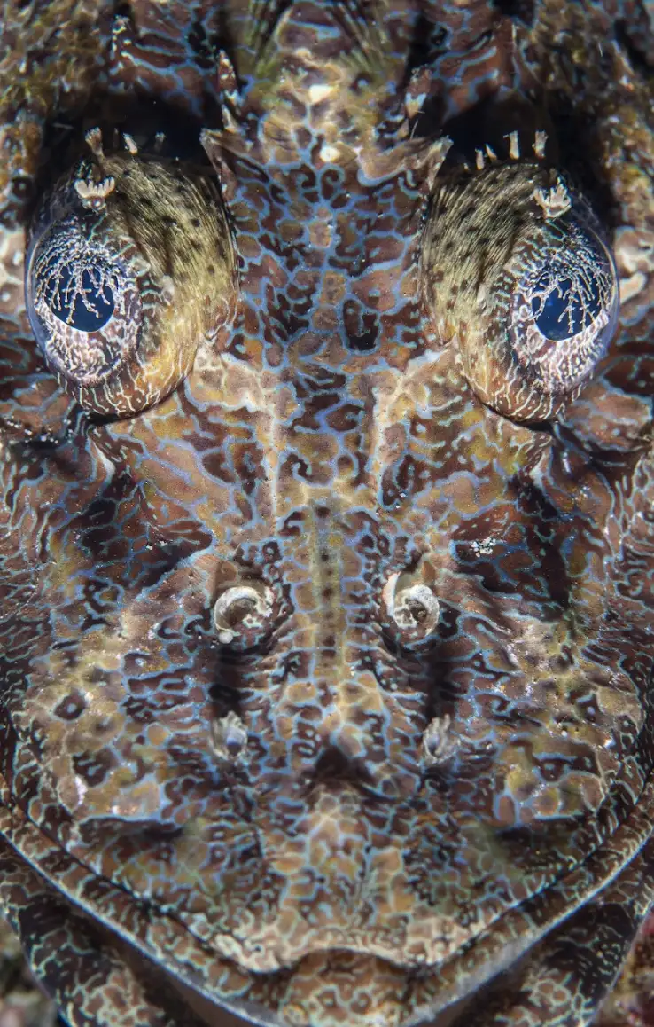 Tulamben, plongées au lever du jour ou en matinée